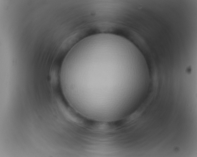 X0000113930074200910161901
