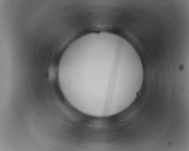 X0000113930075200910161901