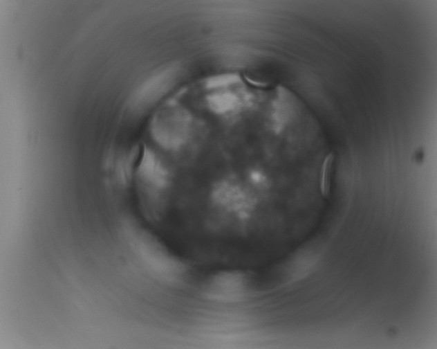 X0000113930076200910161901