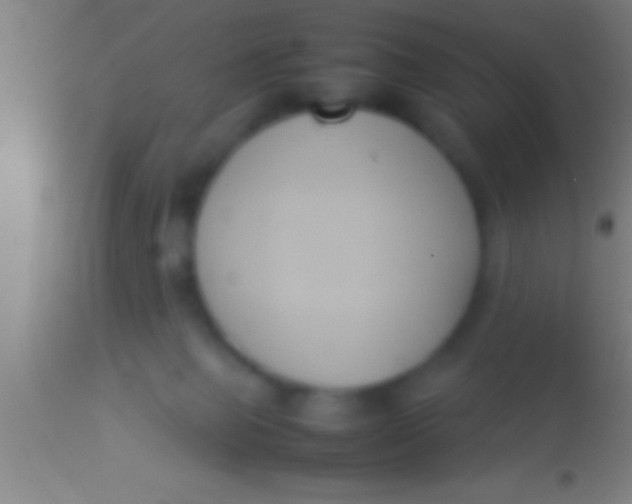 X0000113930077200910161901