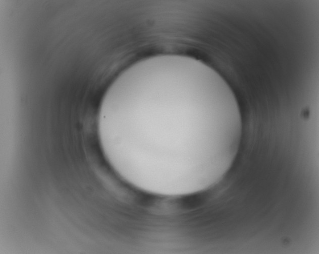 X0000113930078200910161901