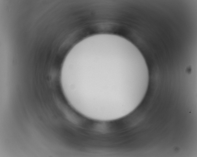 X0000113930079200910161901