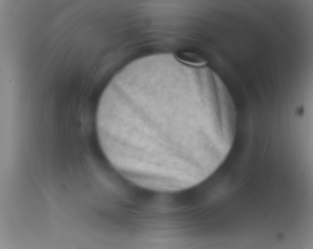 X0000113930080200910161901