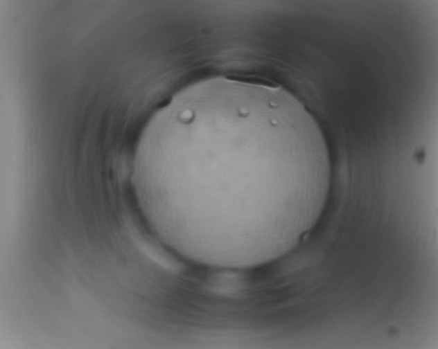 X0000113930081200910161901