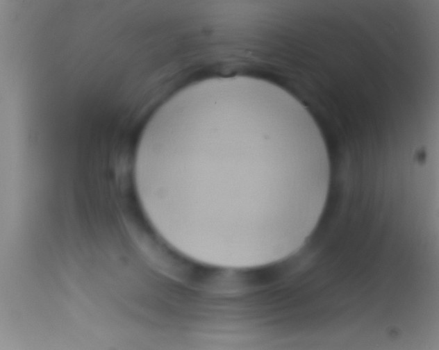X0000113930082200910161901