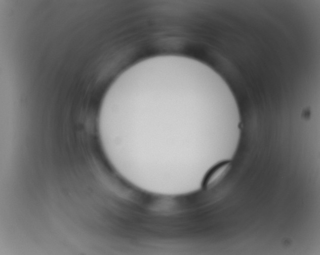X0000113930083200910161901