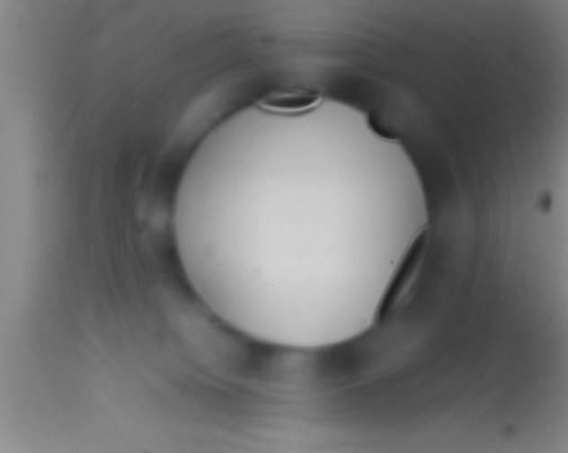 X0000113930084200910161901