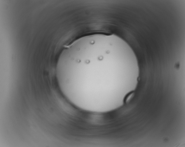 X0000113930085200910161901