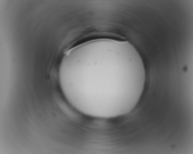 X0000113930086200910161901