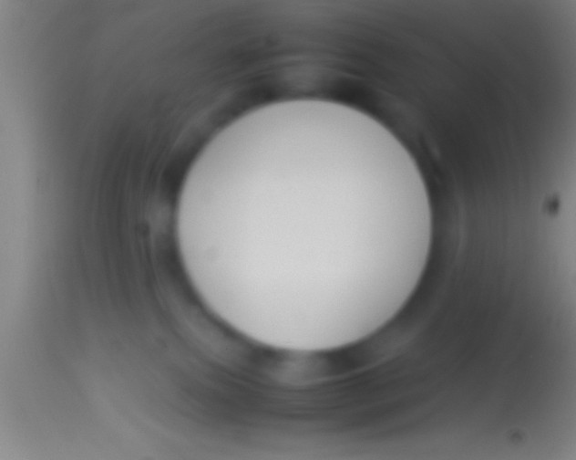 X0000113930087200910161901