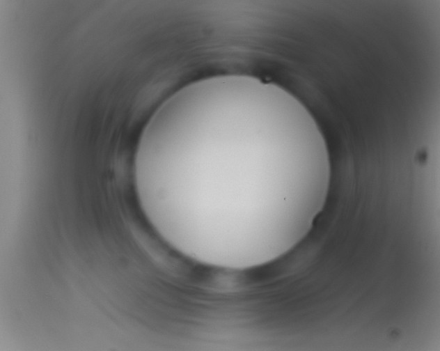 X0000113930088200910161901