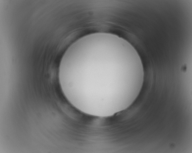 X0000113930092200910161901