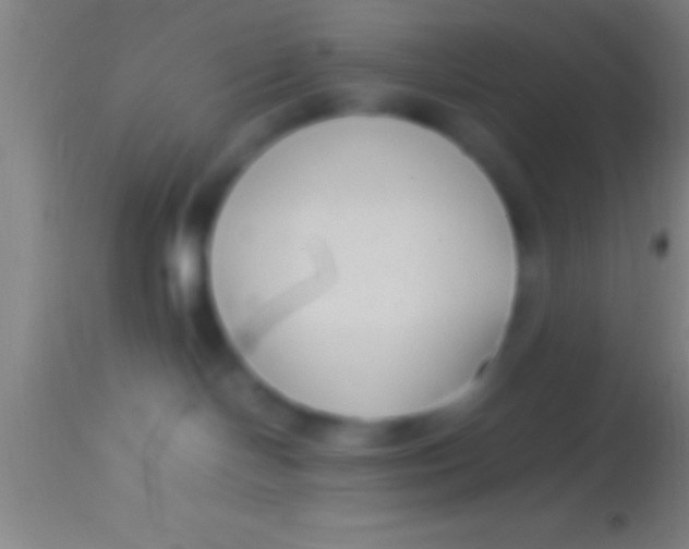 X0000113930094200910161902
