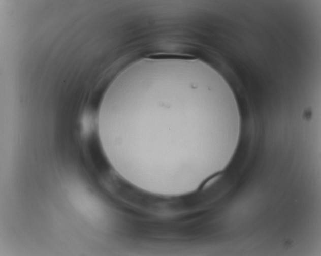 X0000113930095200910161902