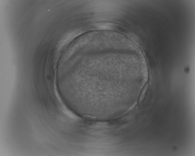 X0000113930097200910161901