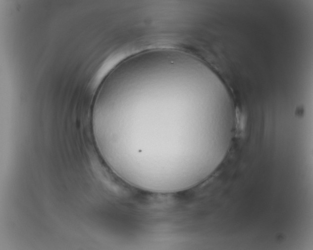 X0000113930099200910161901