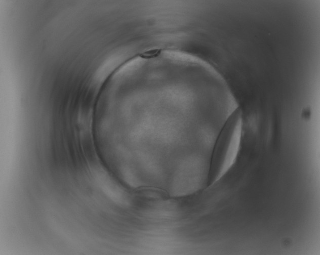 X0000113930100200910161901