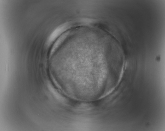 X0000113930101200910161901