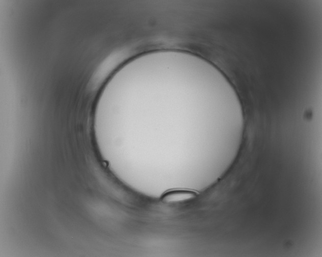X0000113930103200910161901