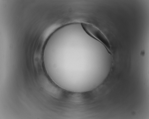 X0000113930104200910161901
