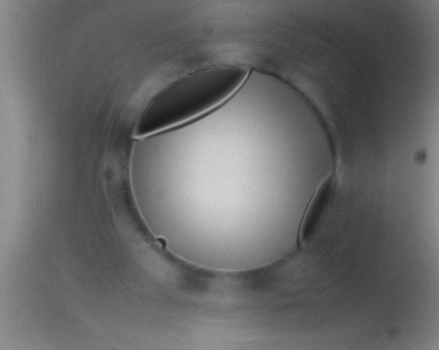X0000113930105200910161901