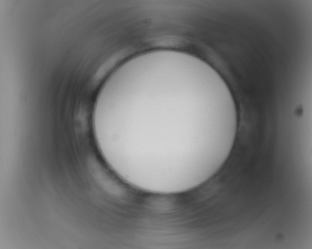 X0000113930106200910161901