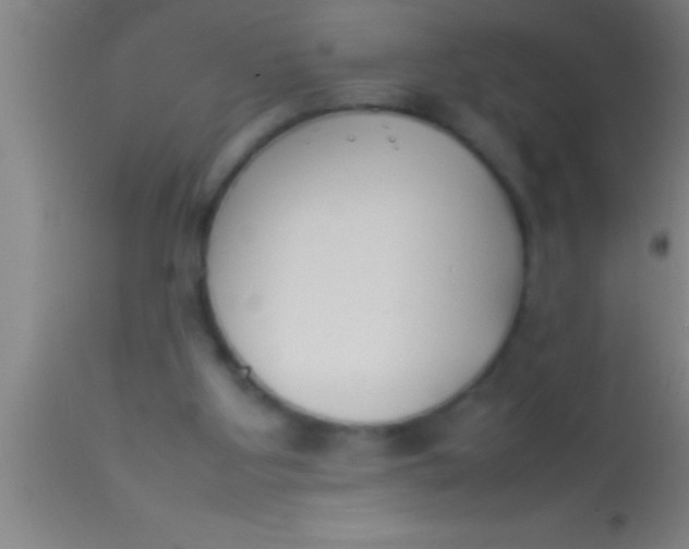 X0000113930107200910161901