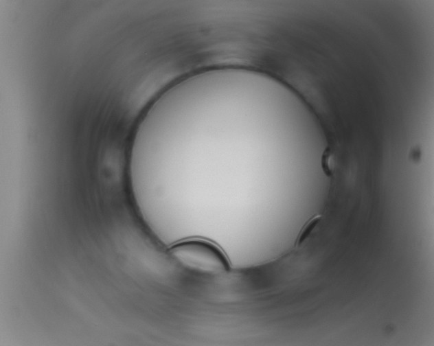 X0000113930108200910161901
