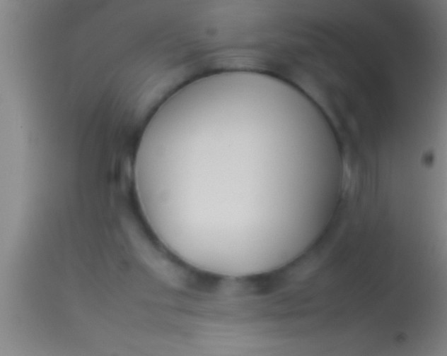 X0000113930109200910161901