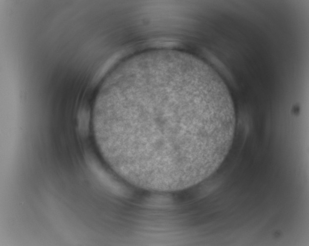 X0000113930110200910161901