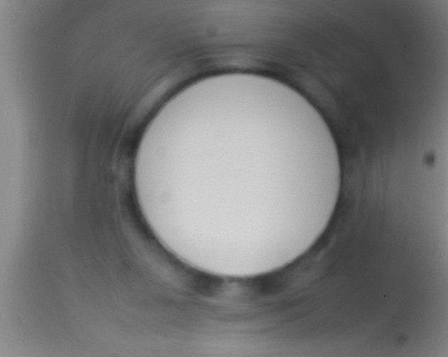 X0000113930111200910161901