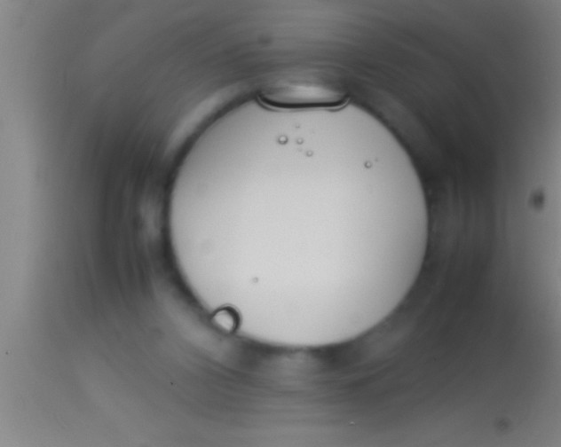 X0000113930112200910161901