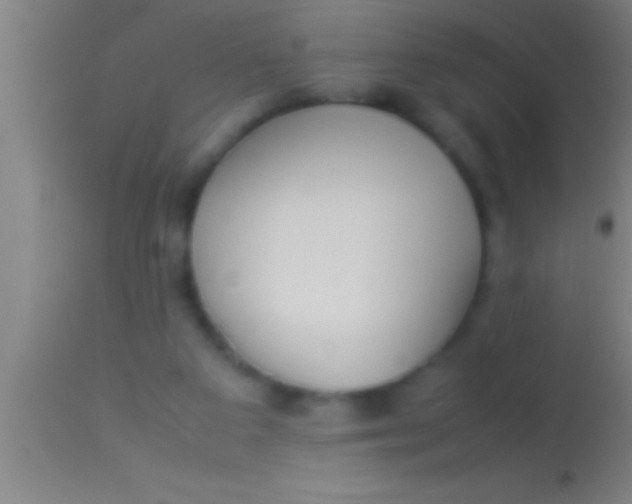 X0000113930113200910161901