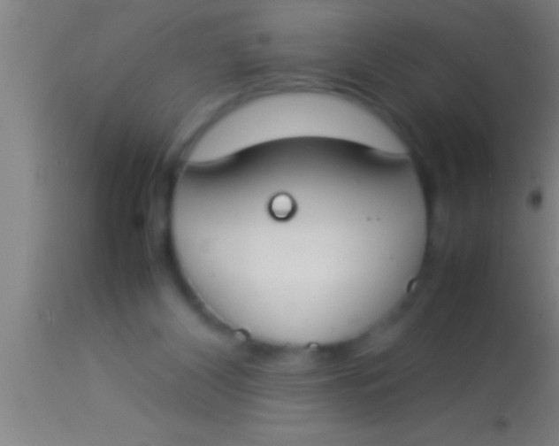 X0000113930116200910161901
