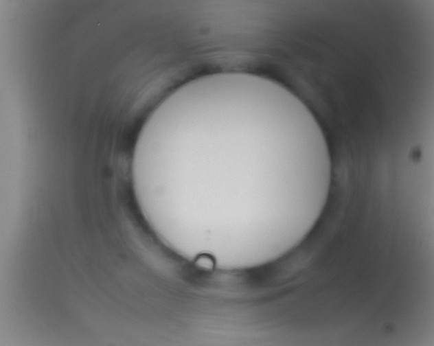 X0000113930117200910161900