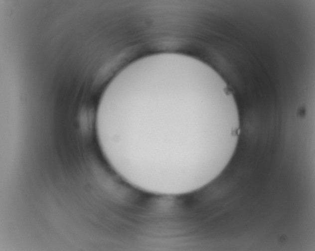 X0000113930118200910161900