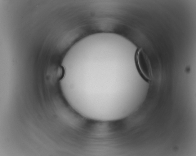 X0000113930120200910161900