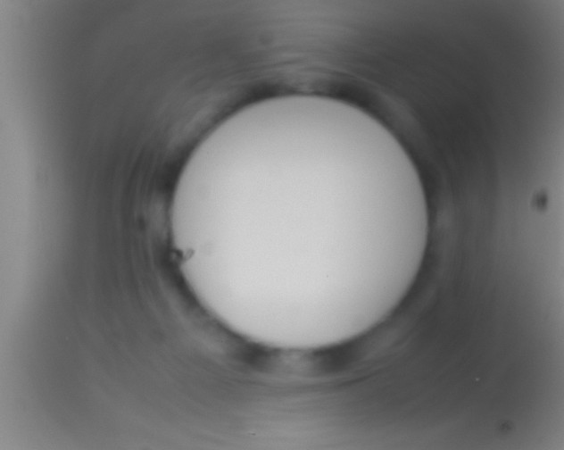 X0000113930121200910161900