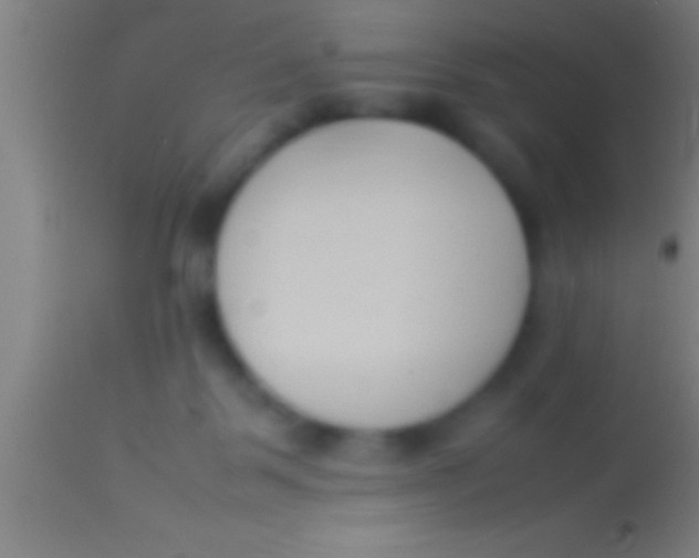 X0000113930123200910161900