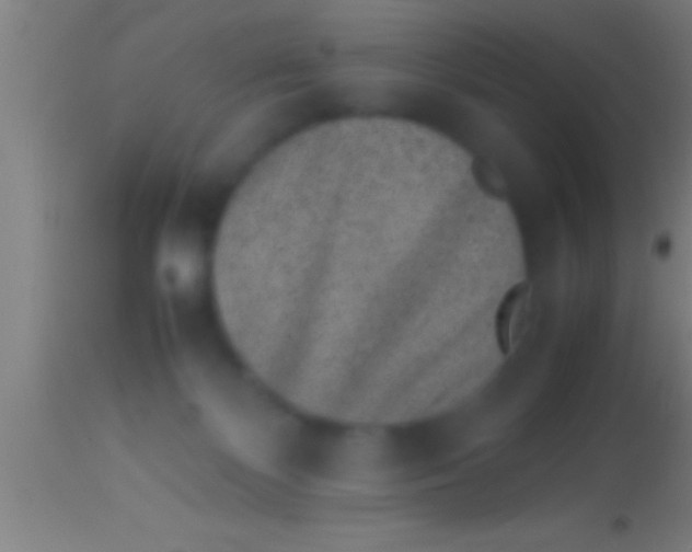 X0000113930124200910161900