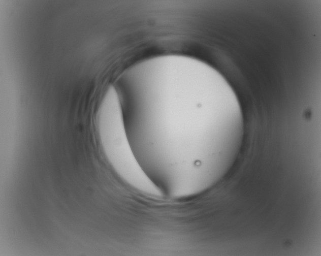 X0000113930125200910161900