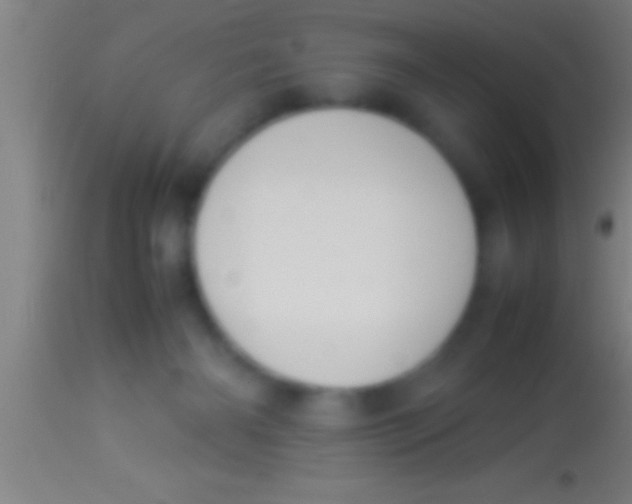 X0000113930126200910161900