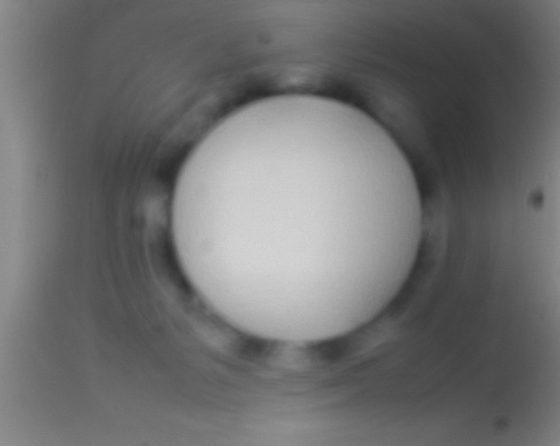 X0000113930127200910161900