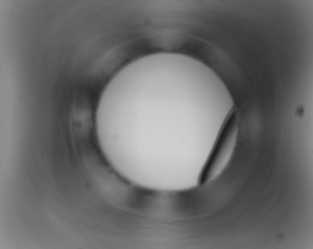 X0000113930128200910161900