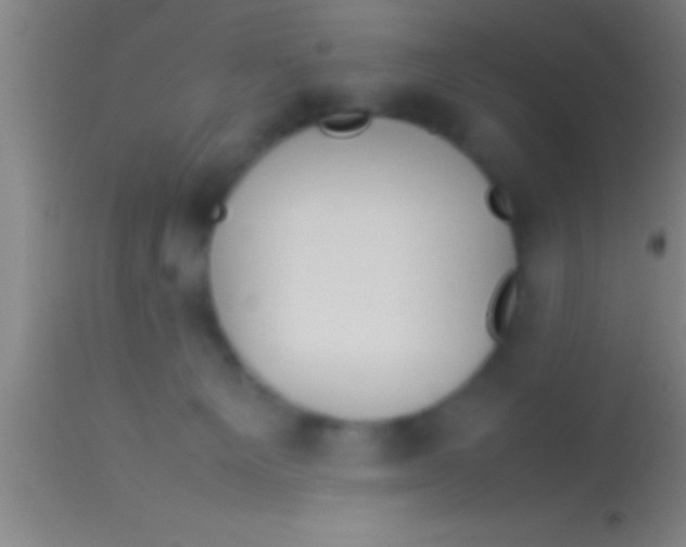 X0000113930129200910161900