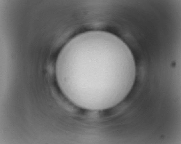 X0000113930131200910161900