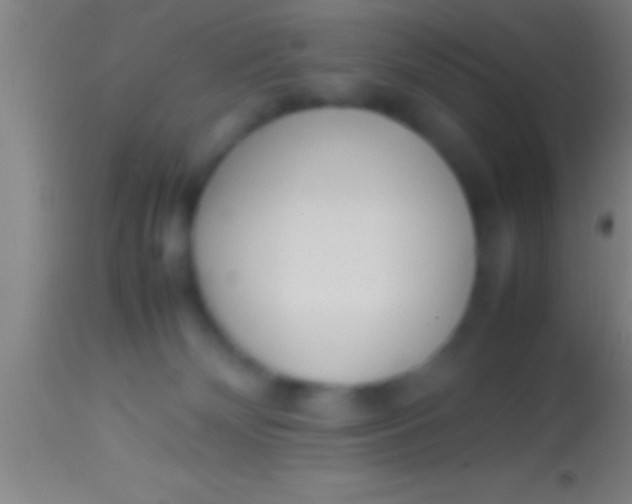 X0000113930132200910161900