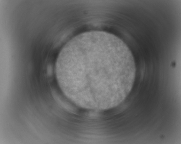X0000113930134200910161900