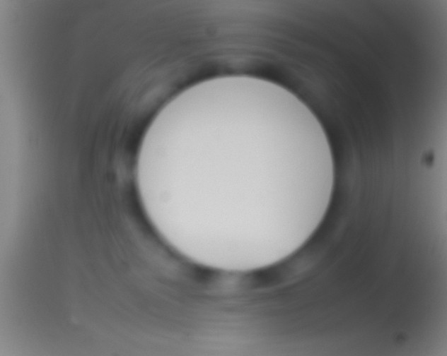X0000113930135200910161900