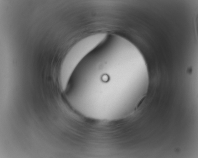 X0000113930136200910161900